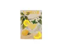 Lemon Spritz